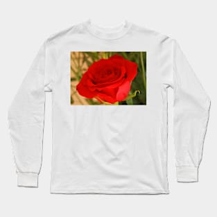 For My Lady Long Sleeve T-Shirt